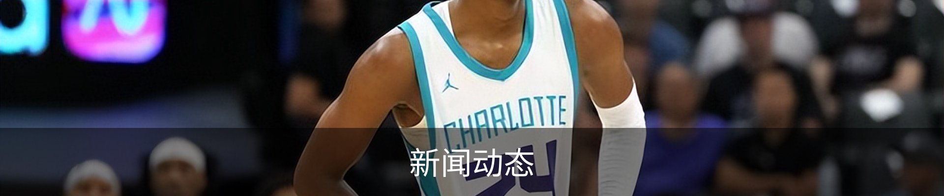 新闻动态